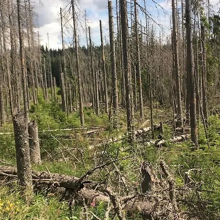 Na Kvilde *