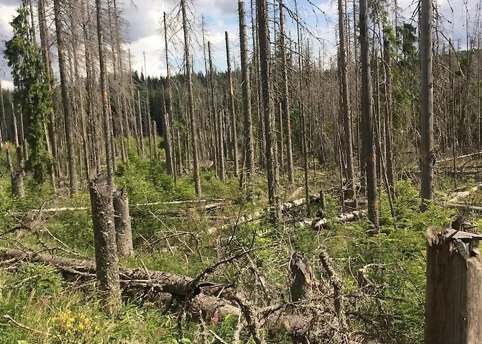 Na Kvilde *